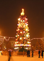 New Year tree at the central