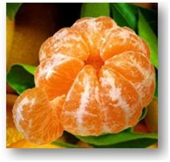 e`firnoe-maslo-mandarin